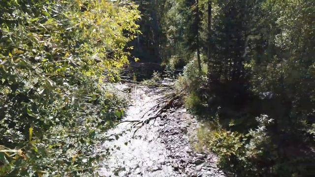 Дорога на Заповедник ВКО 🌍 1853 в Австрии евреям запрещено быть земельными собственниками смотреть онлайн