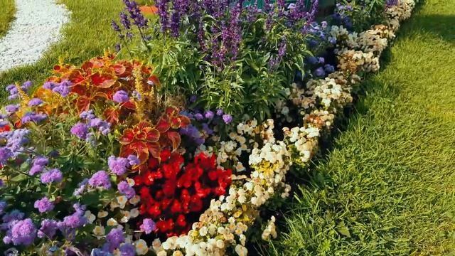 Достопримечательности Петергофа - с высоты птичьего полёта смотреть онлайн