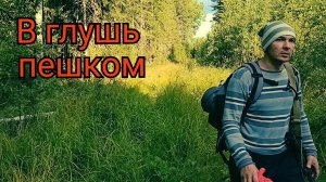 Озеро в глуши. Республика Коми