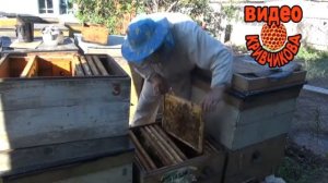 Видео Кривчикова  Постановка второго корпуса