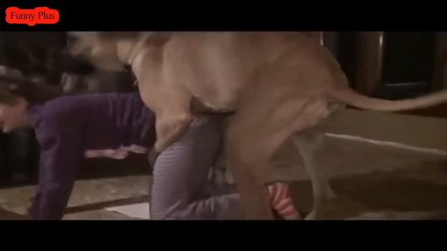 Приколы 2015 Самые Смешные Приколы Девушки с животными смотреть онлайн