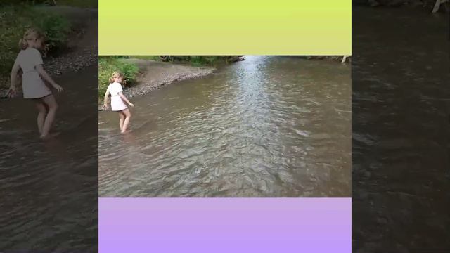 Забавные белки и окрестности  у нашего дома,канатный мост,река