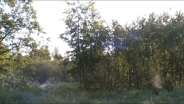 Про кабак. Антиалкогольная. About the pub. Anti-alcohol. Ниже стихотворение, не совсем про любовь. смотреть онлайн