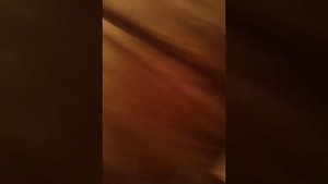 Русский язык 5 класс рыбченкова упражнение 259