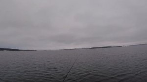 Роль эхолота на рыбалке. Стоит ли покупать эхолот ??