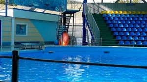 дельфинарий