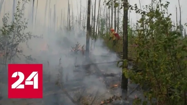 Ситуация с лесными пожарами стабилизируется, но ХМАО остается опасной зоной - Россия 24 