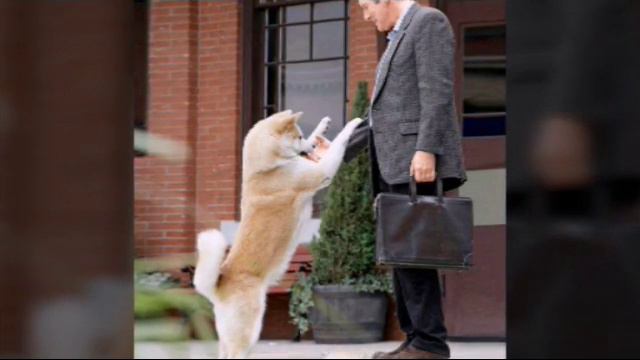 Клип Хатико смотреть онлайн