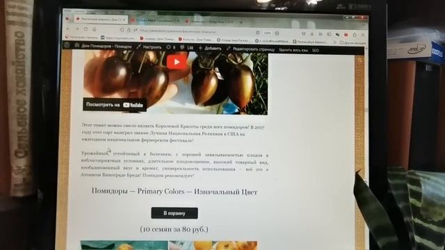 Опасность и Вред ФИОЛЕТОВЫХ ПОМИДОРОВ! Какие фиолетовые томаты посадить в 2023 году? Обзор!