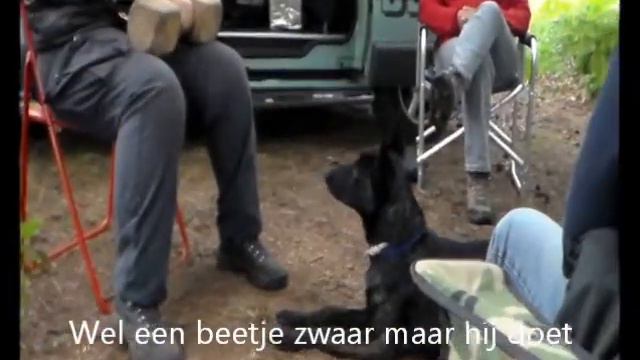 eddy ipo 3 blok смотреть онлайн