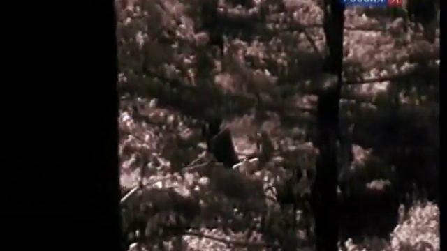 Гении и злодеи.  Владимир Даль.