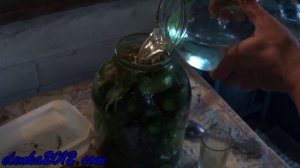 Консервирование огурцов прямым посолом