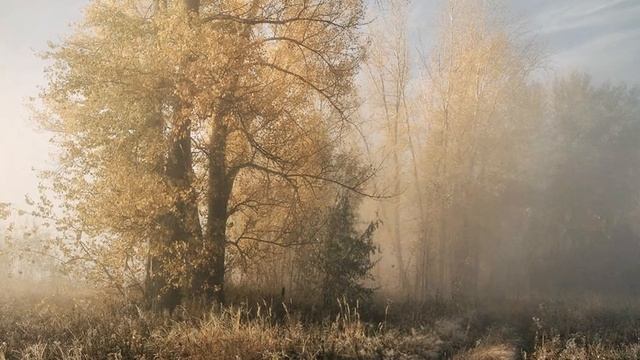 П. Пиковский С. Чиграков О. Митяев ( Детство ) смотреть онлайн
