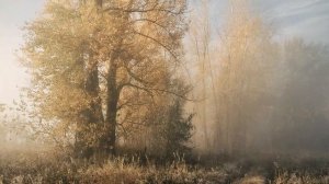 П. Пиковский С. Чиграков О. Митяев ( Детство )