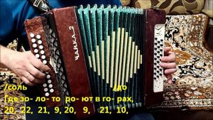 Бродяга