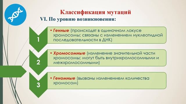 Наследственная изменчивость