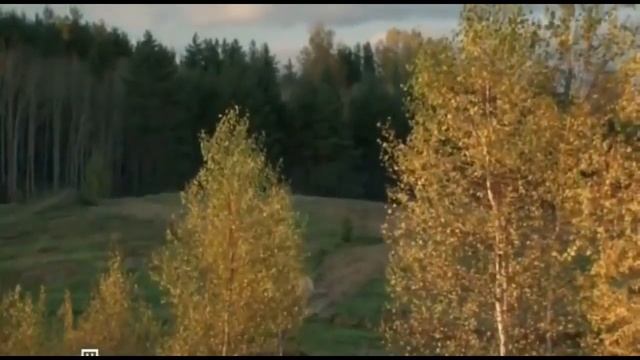 Где берёза шумит Музыка и исполнение Александр Батеньков, слова Фёдора Вакуленко
