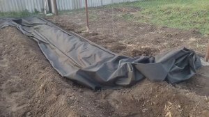 Посадка на геотекстиль. Рассада помидор и капусты.