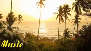 Relaxing Saxophone Music || Bea Saxophone || Dance monkey Lady Sax 💗💗 LOVE MAKING MUSIC💗 💗