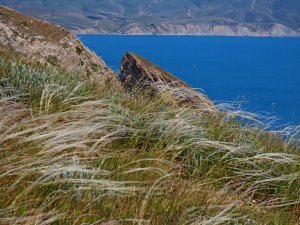 Ковыль, ветер и море.