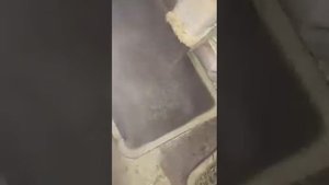 Гранулирование травы(разнотравие)