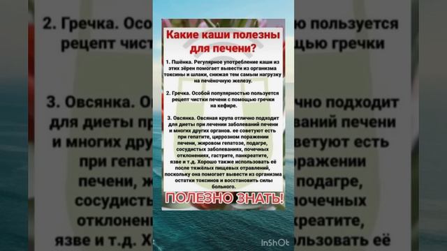 Какие каши полезны для печени?