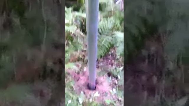 Монтаж винтовых свай под столбы забора мини-экскаватором смотреть онлайн