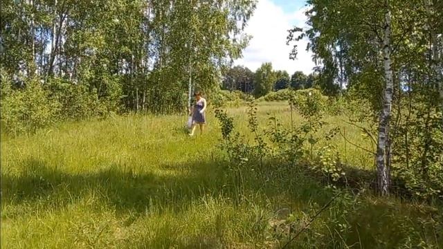 Огромный шмель