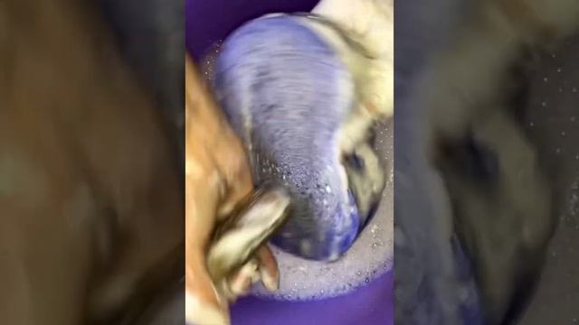 Размокшее дегтярное Нефис? смотреть онлайн