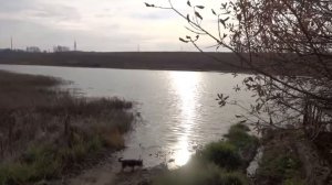 Октябрь   Музыка Сергея Чекалина  October  Music by Sergey Chekalin