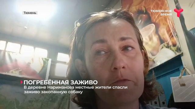 В деревне Нариманова местные жители спасли заживо закопанную собаку смотреть онлайн