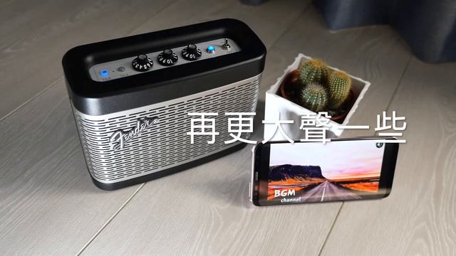 FenderNewport смотреть онлайн