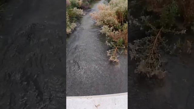 Велопрогулка,красивая речка