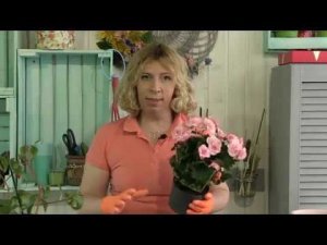 ВНИМАНИЕ- ХЛОРОЗ!!!Дачные сезоны с Мариной Рыкалиной