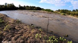 Рыбалка на реке Сунжа.Грозный.Усач.