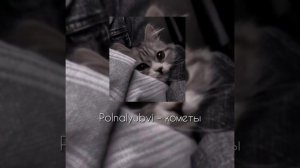 Polnalyubvi - кометы '♡sped songs♡'