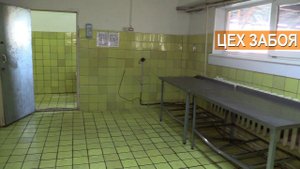 Ферма Русский Страус. Забойный цех