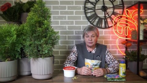 ВАЖНО! Чем болеет ваша туя ✔️Готовим тую к зиме ✔️ КОНКУРС НАЙДИ СЛОВО