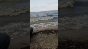Пензенское водохранилище.
