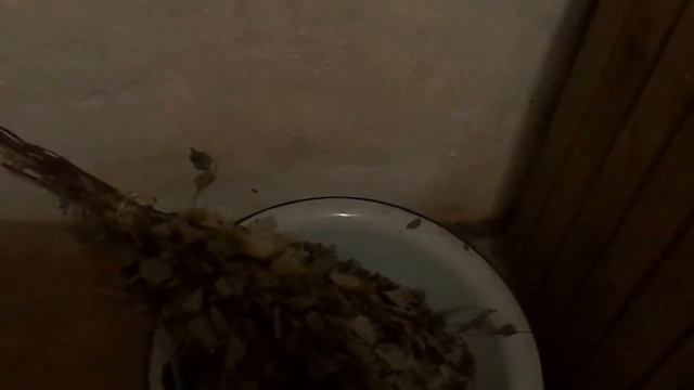 Деревенская банька. В хорошей бане сворачиваются уши. смотреть онлайн