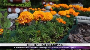 В Нижнем Тагиле наградили победителей конкурса на лучшее оформление цветочных клумб