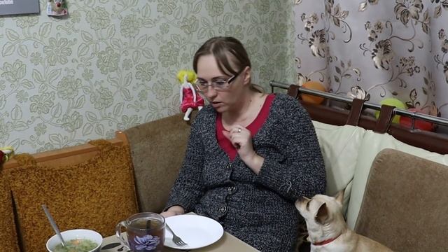 Влог, 4 января, Обзор покупок, Лёгкие с луком Андрей приходи, Соня жадина, Тестирую новую духовку смотреть онлайн