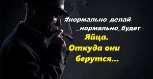 Яйца. Откуда они берутся.