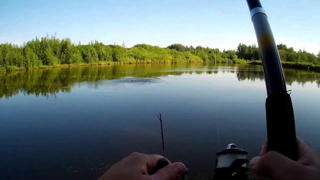 Моменты ловли карпа на платнике. Адреналин при ловле на тонкую снасть. смотреть онлайн