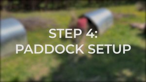 Pig Farm Training: Moving Pigs to Pasture