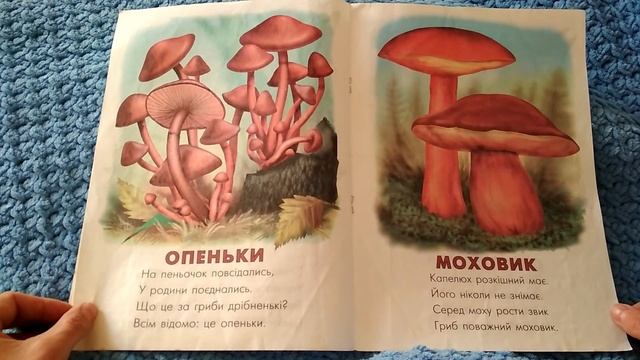 Дитяча книжка "Що це?" - читаємо вголос смотреть онлайн