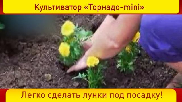 Миникультиватор Торнадо
