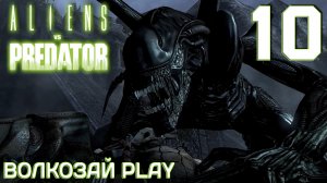 Aliens versus Predator 2010. Прохождение за чужого ─ Часть 10: Битва с хищниками
