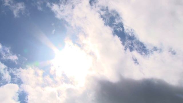 230 GALLON ONTARIO DECK BOX смотреть онлайн