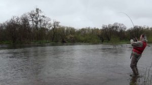 Ловля чавычи на Камчатке 2010 г река Большая